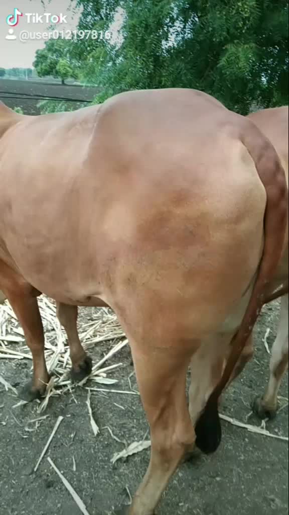 @भागवत आढाव