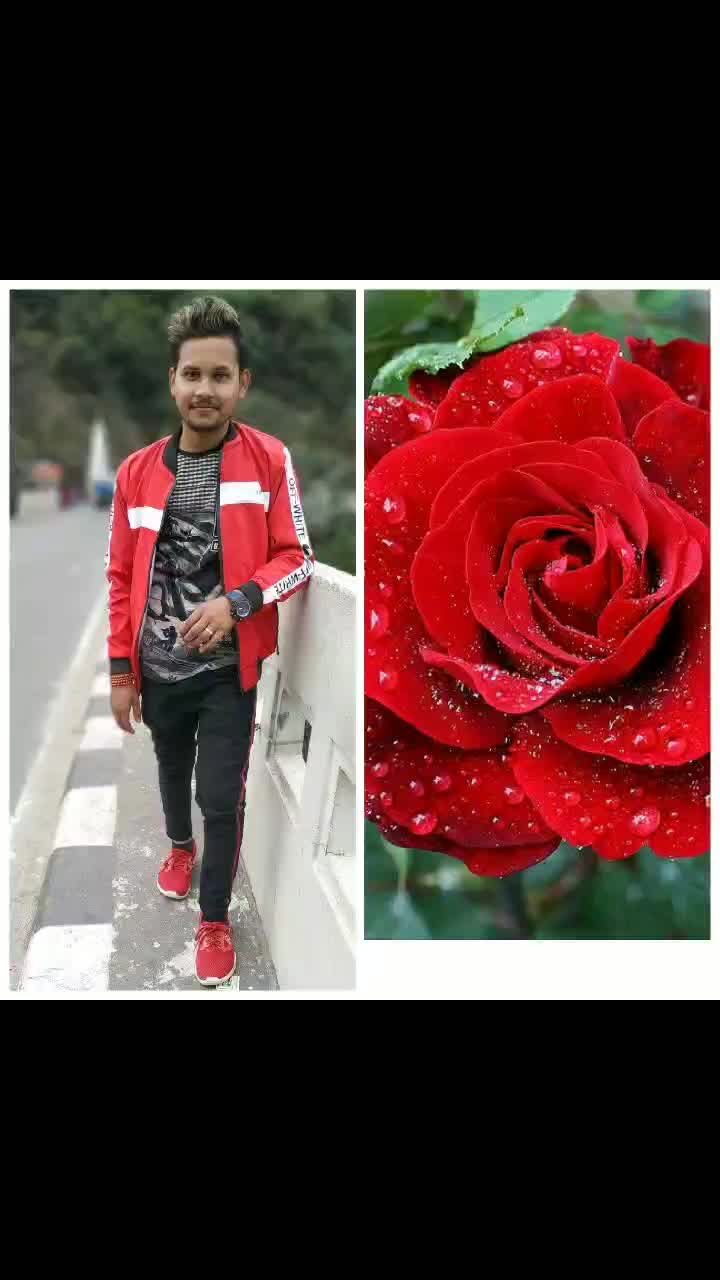 @Nil Biswas