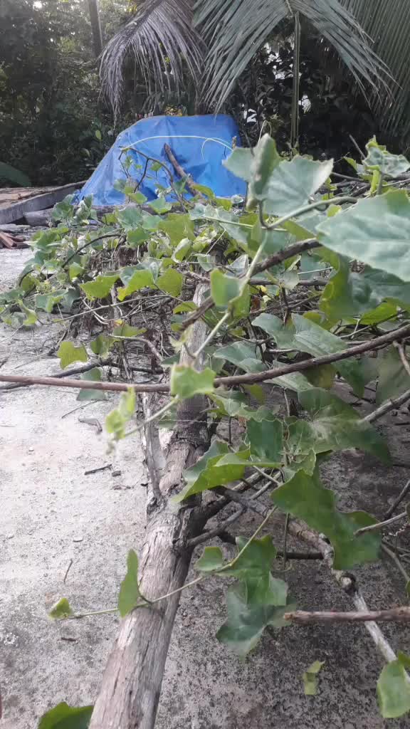 @ajuakshay