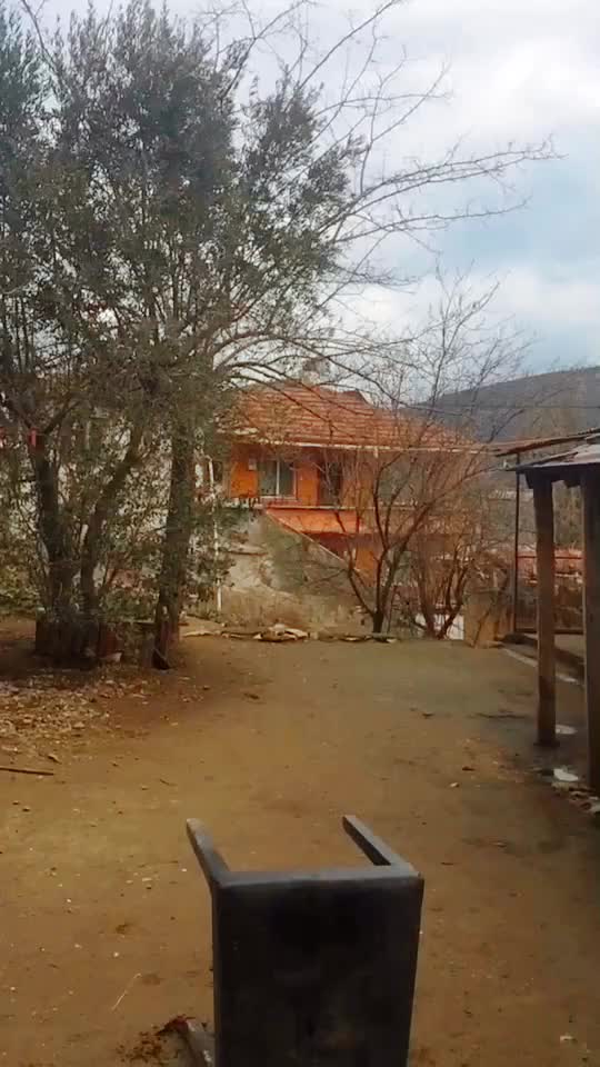 @Damla Çelik