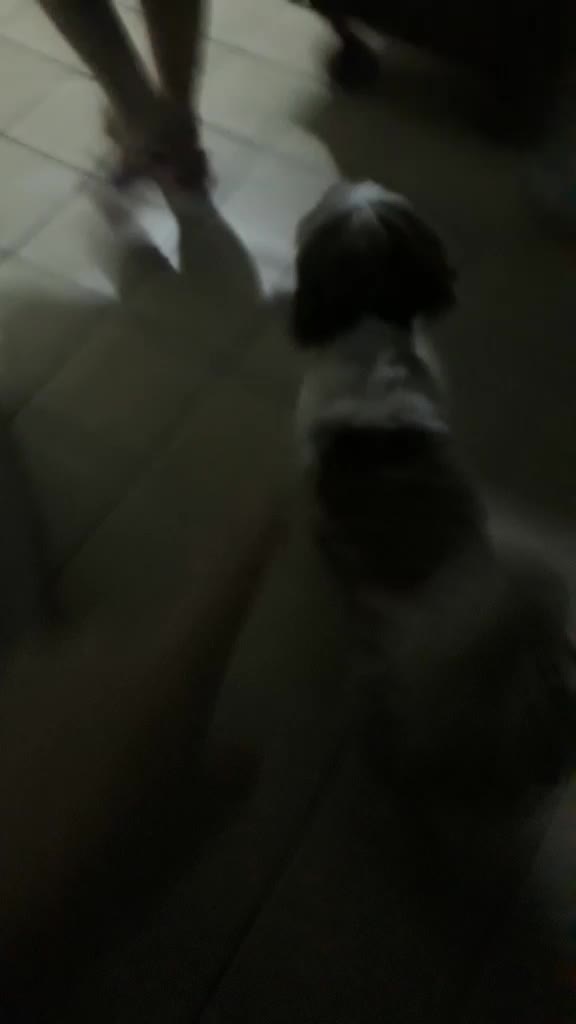 @๐๐ธ๐ท๐ธ๐