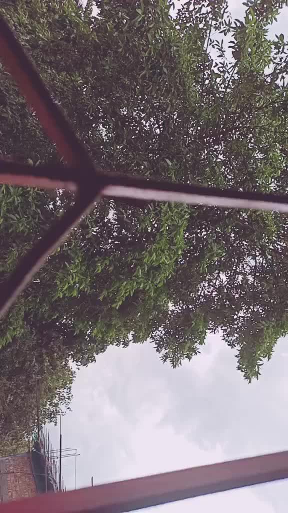 @Swarnali Chakraborty