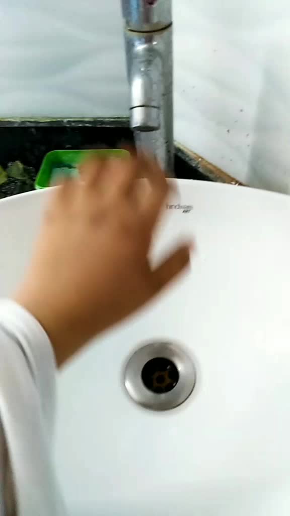 @rayansh6030