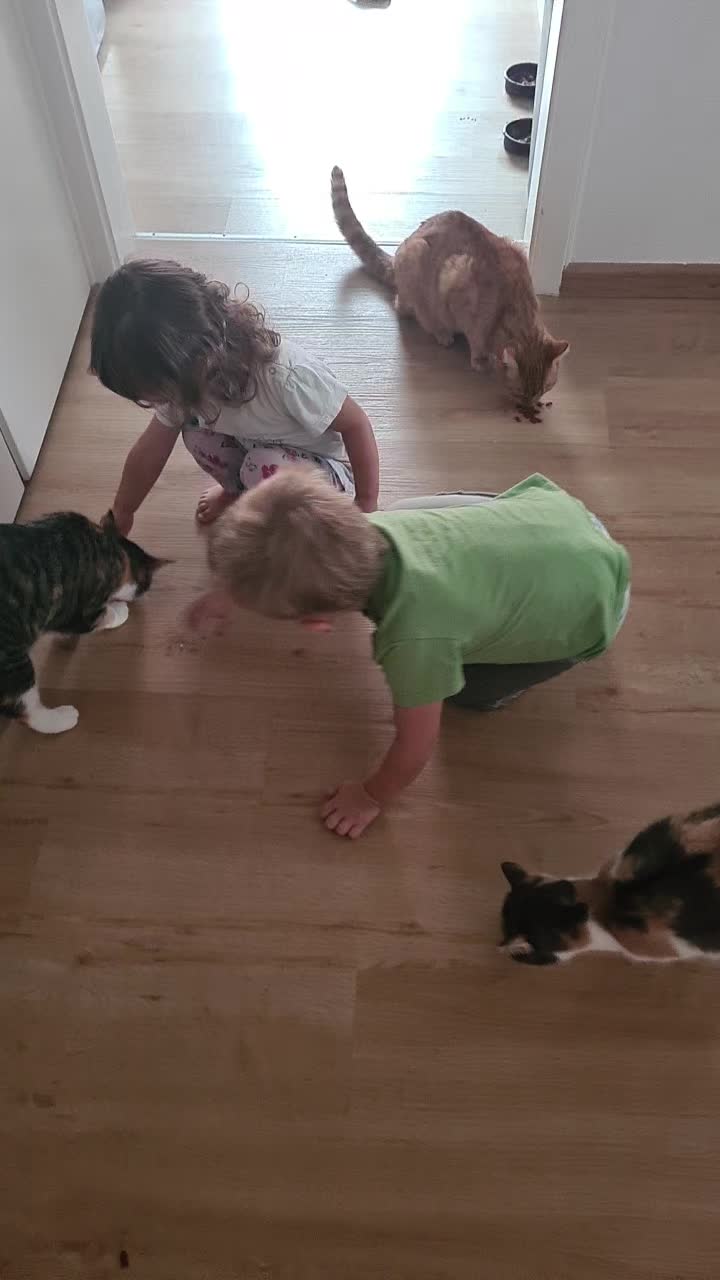 @5KidCat