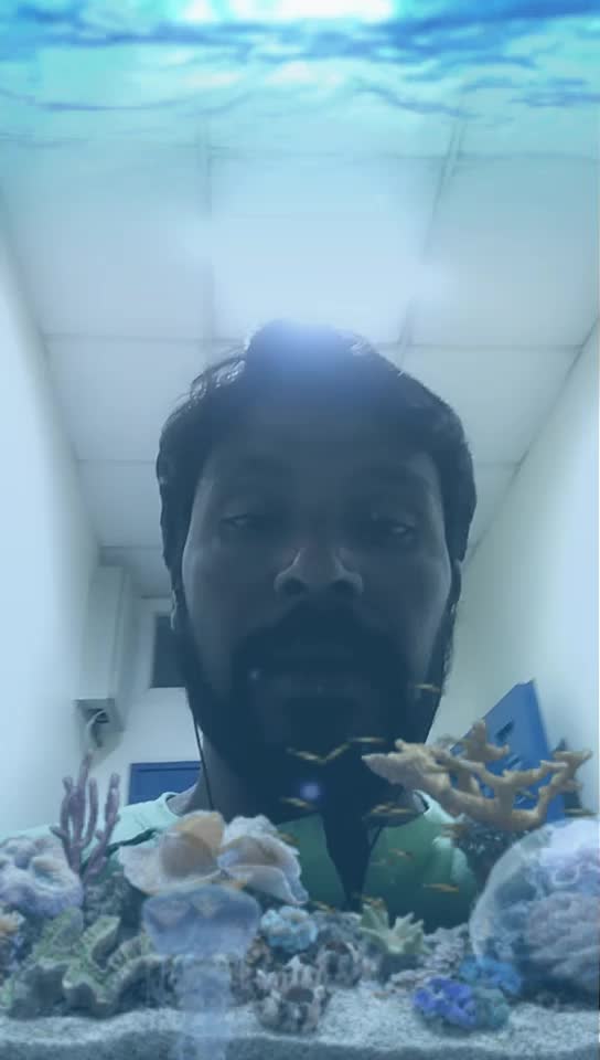 @Thikvijayan Vijayan