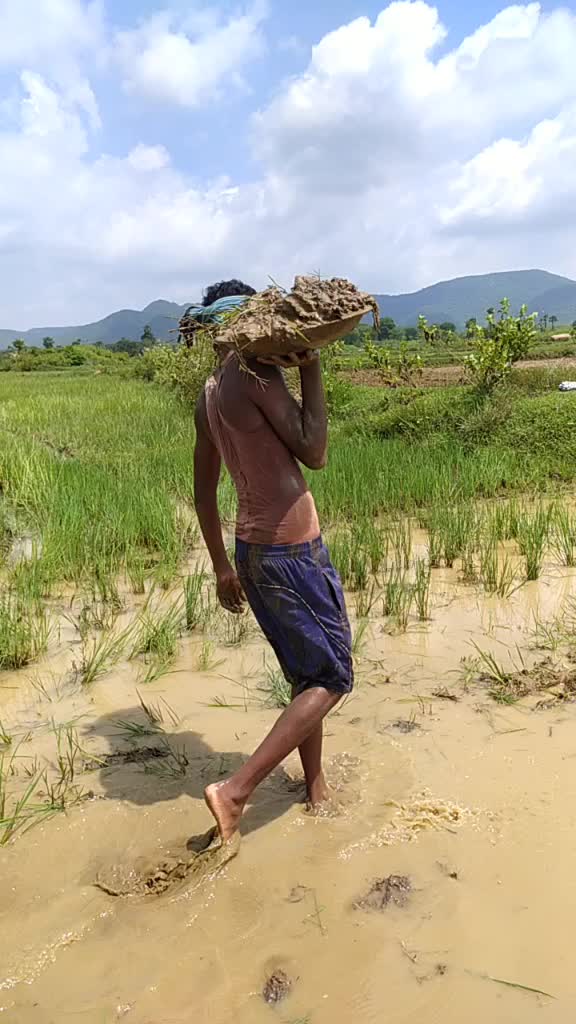 @duet ଟୋକା Satya