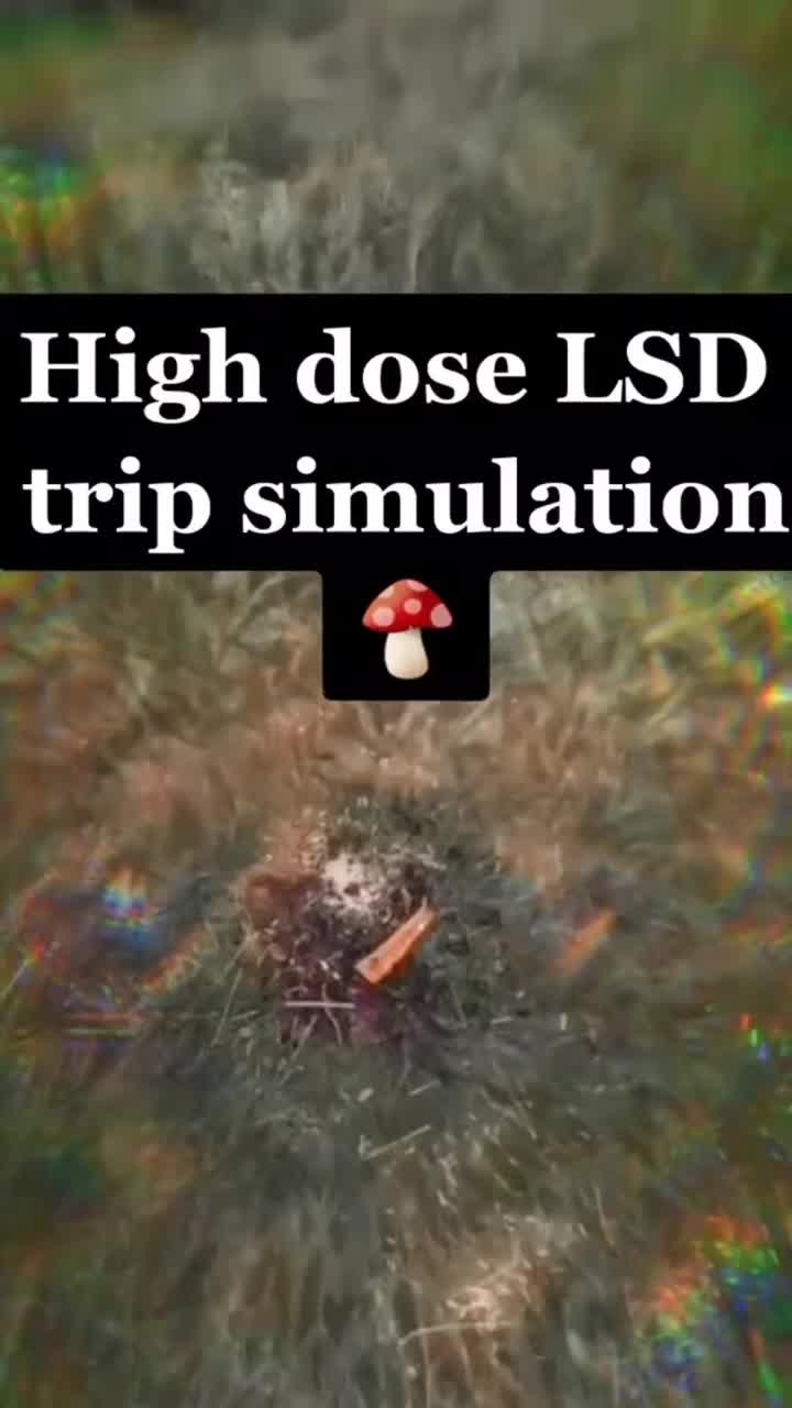 @StonerWRLD