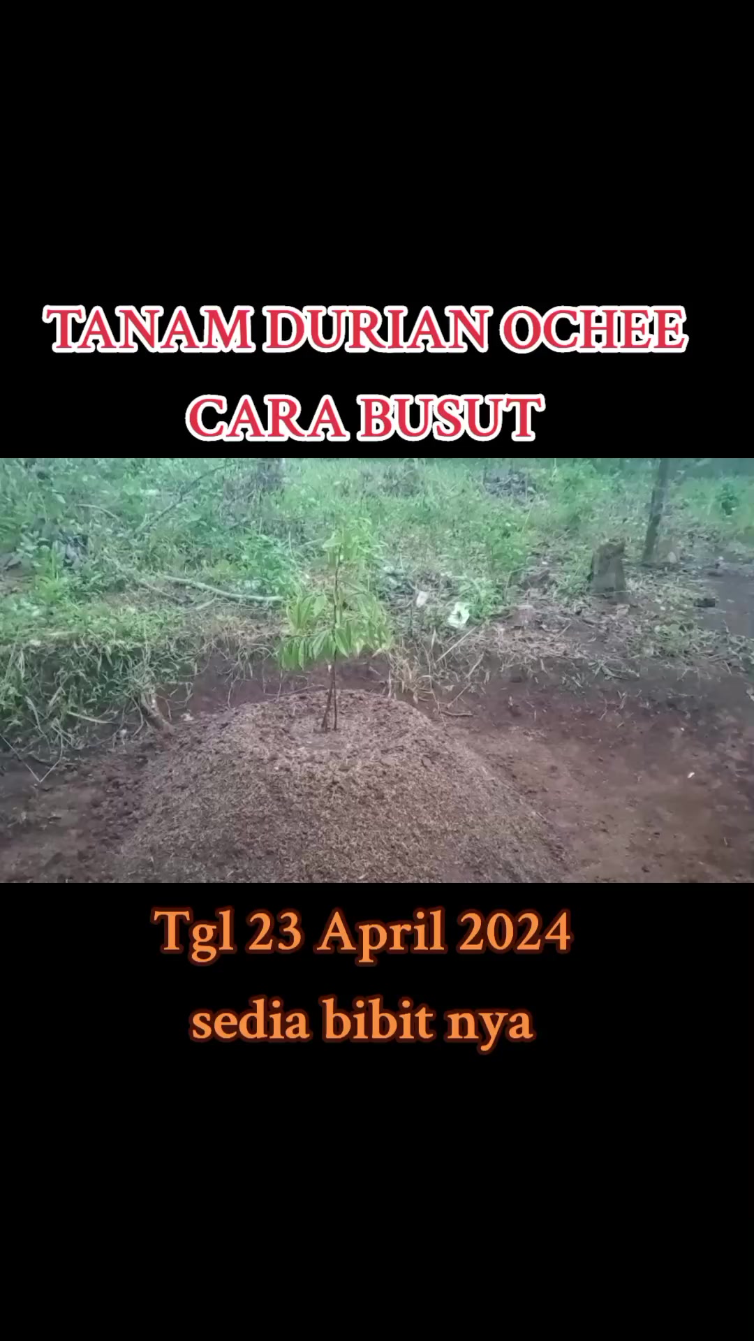 @PEJUANG keluarga ❤️