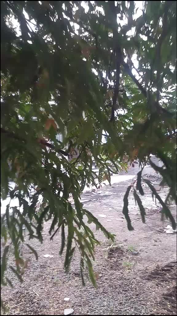 @Bappu Ladkat
