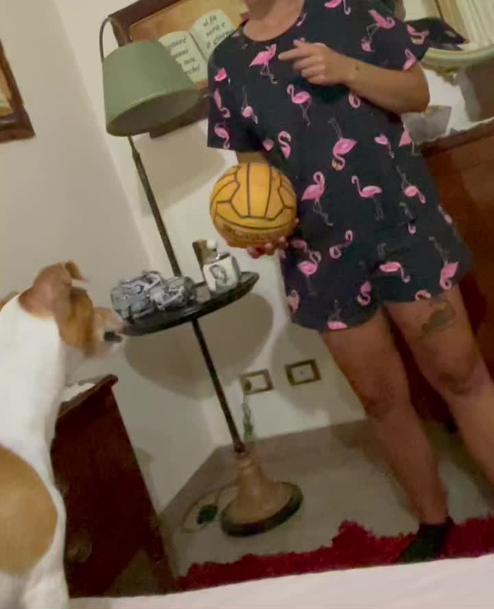 @Alessandra Di Giovan