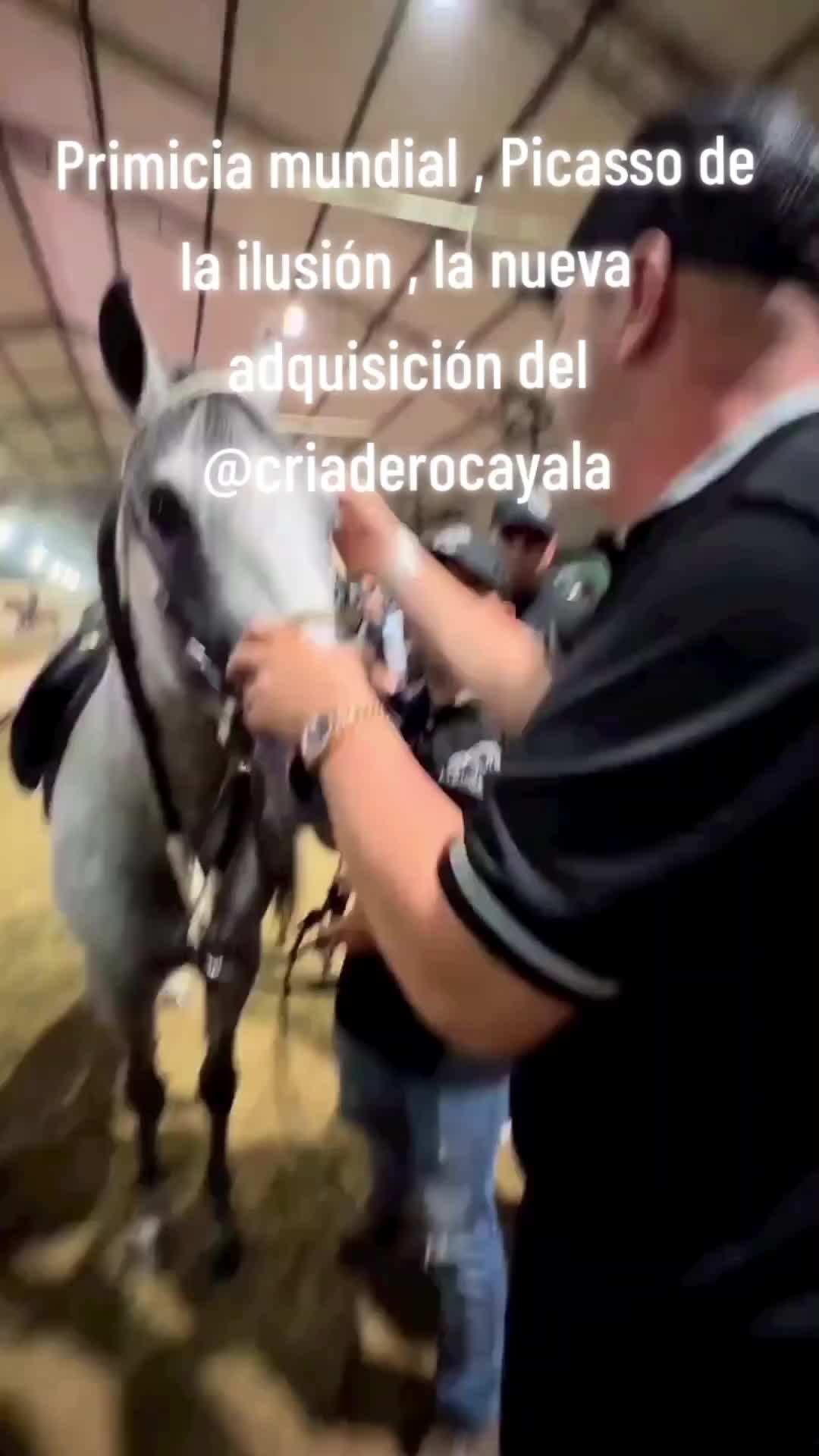 @Diego Alexander Rodr&iacute;guez