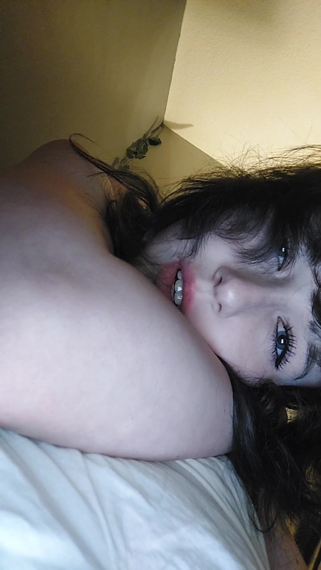 @bunny