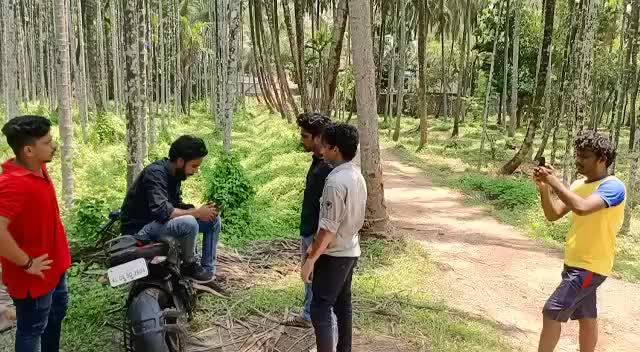 @aneesh ani