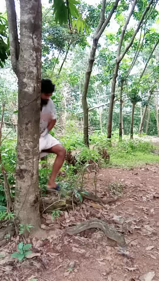 @Baiju Sree