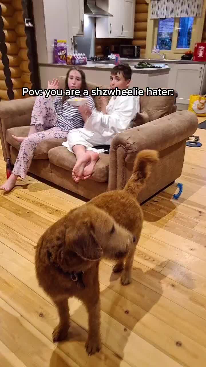 @Hi