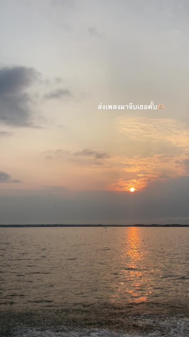 @น้องฮิปโปมรกต