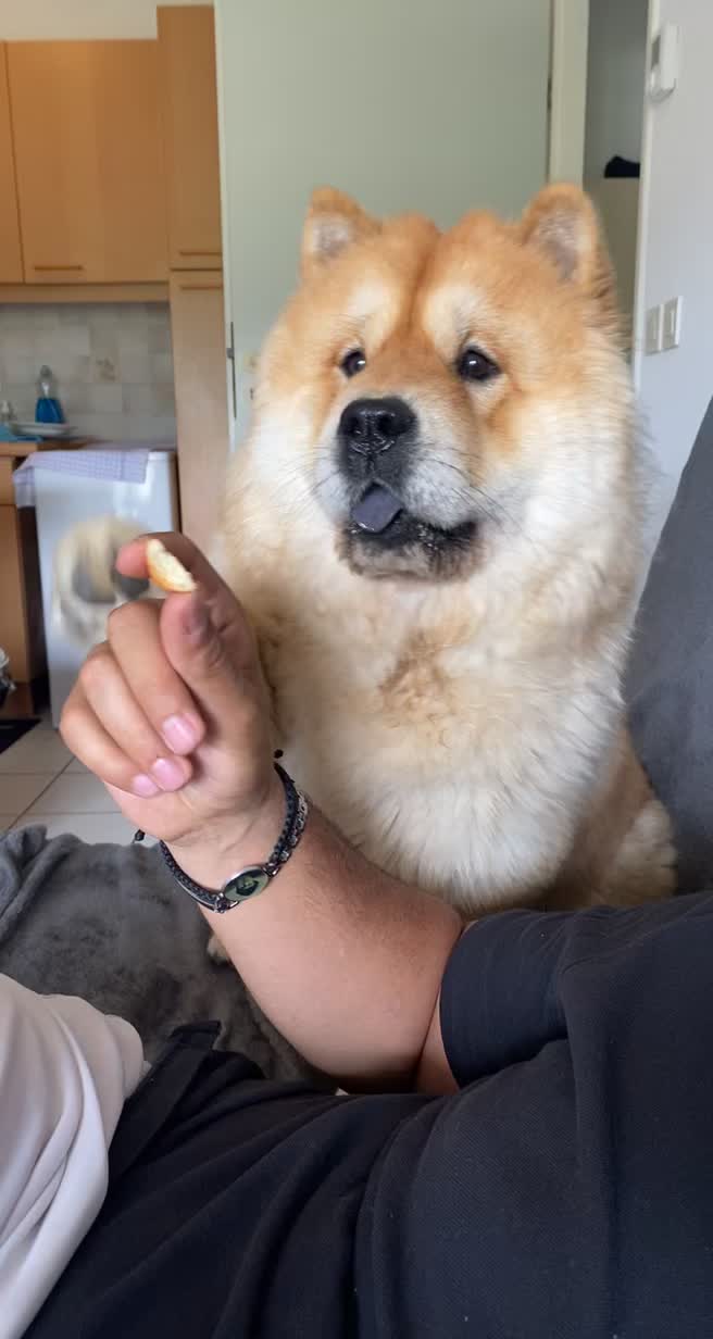 @TitiChowChow