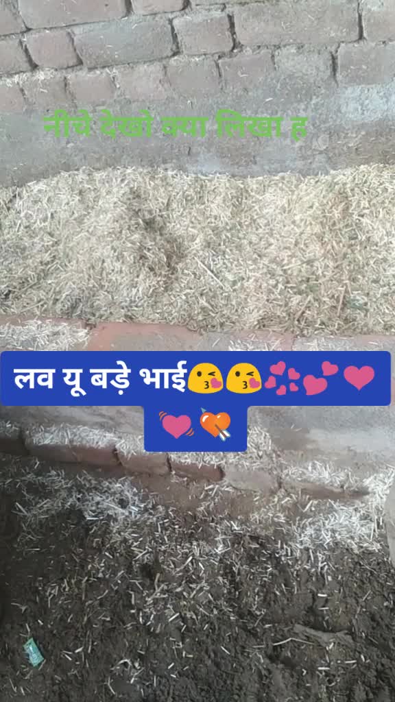 @vinesh Kaushik