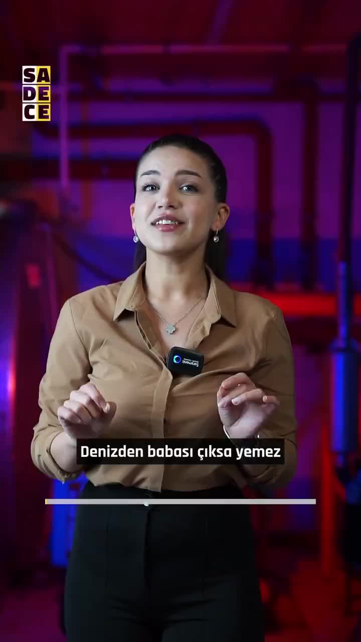 @simurgharekati