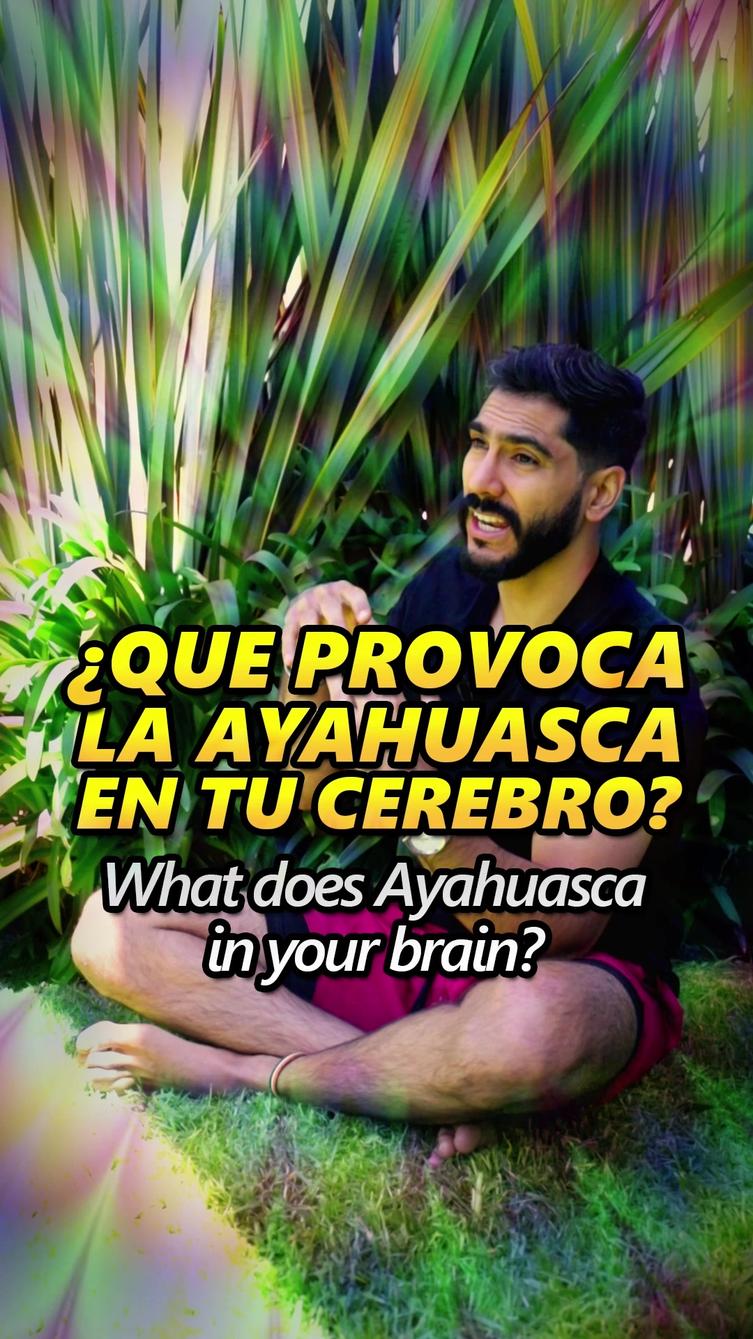 @JC Calzada