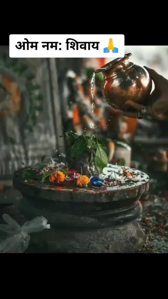 @king_of_bhiwandi
