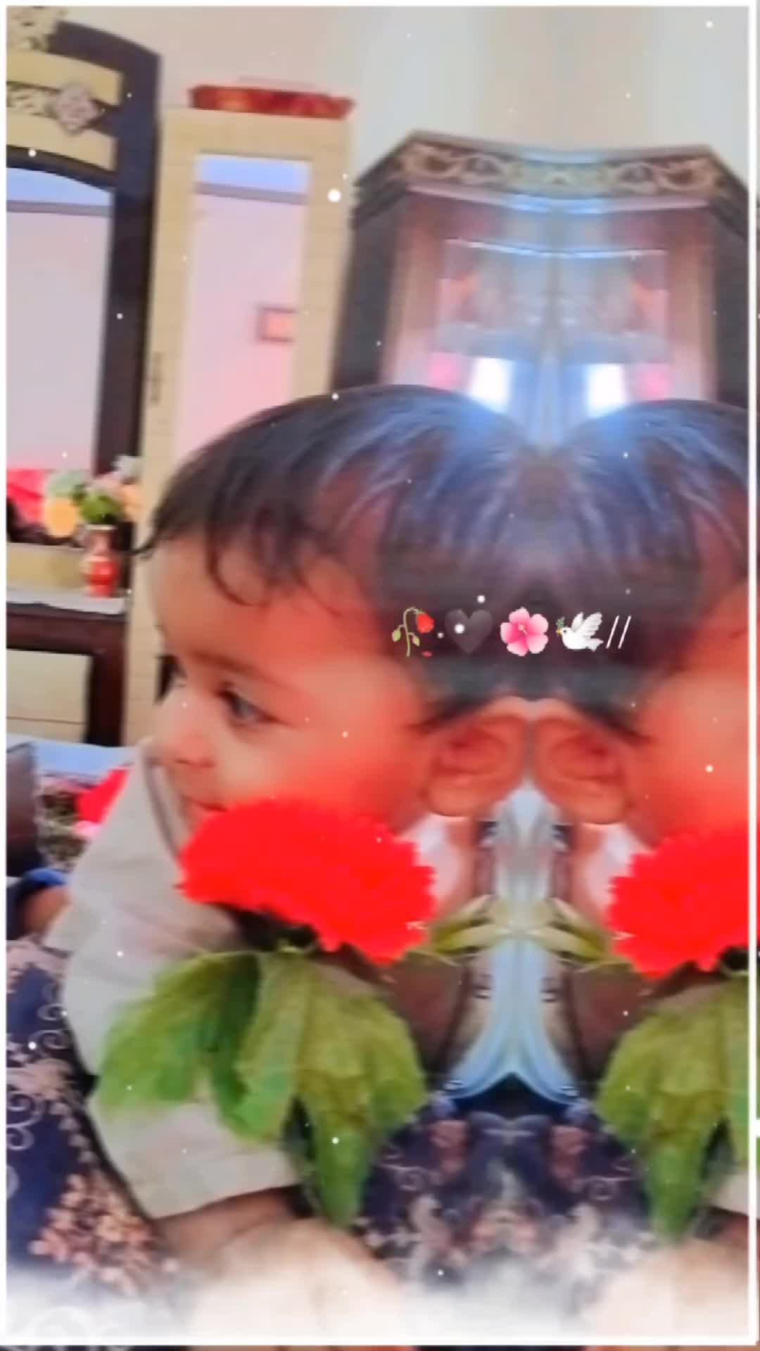 @گمنام مجاہدین