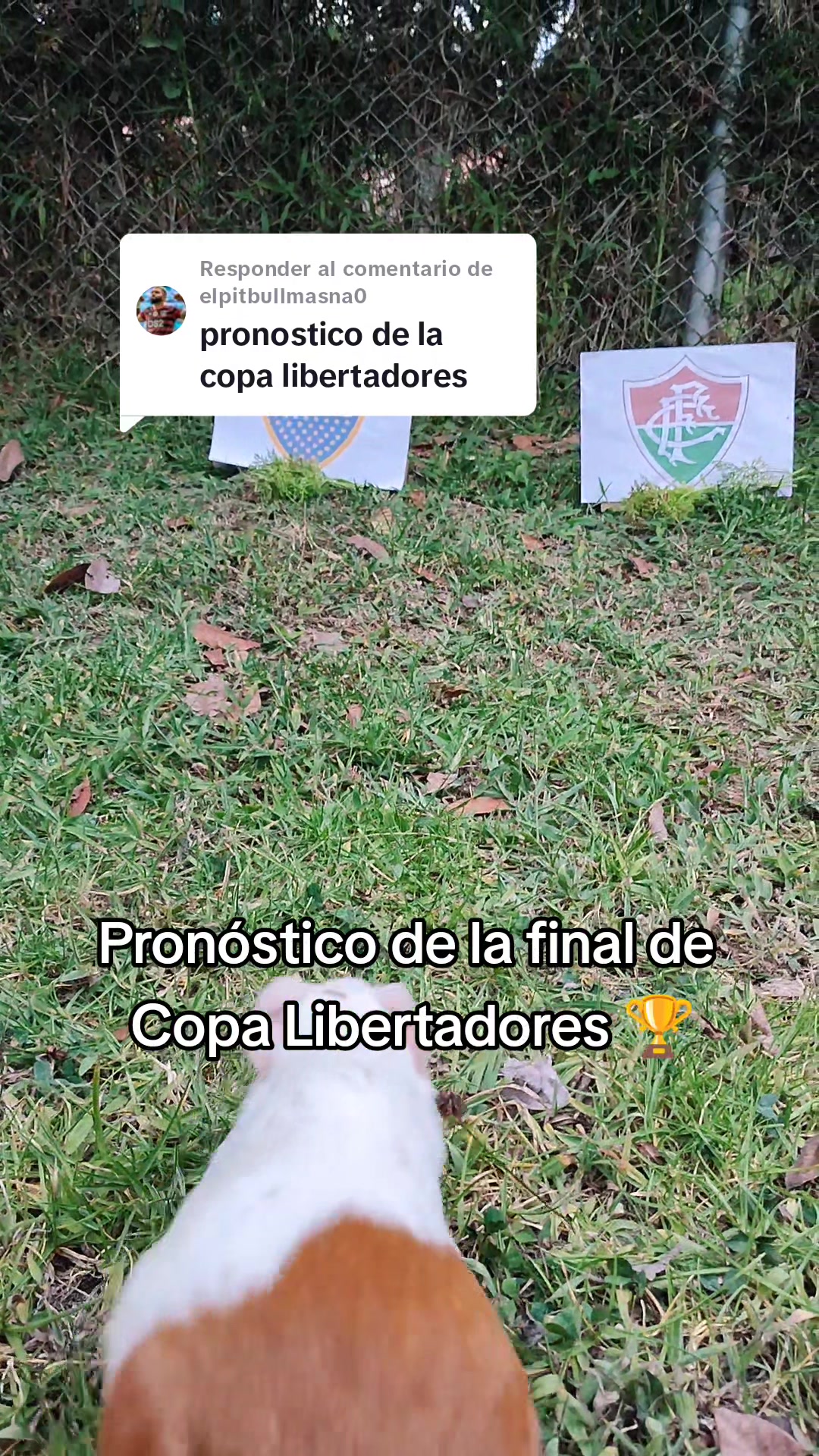 @La cuy adivina