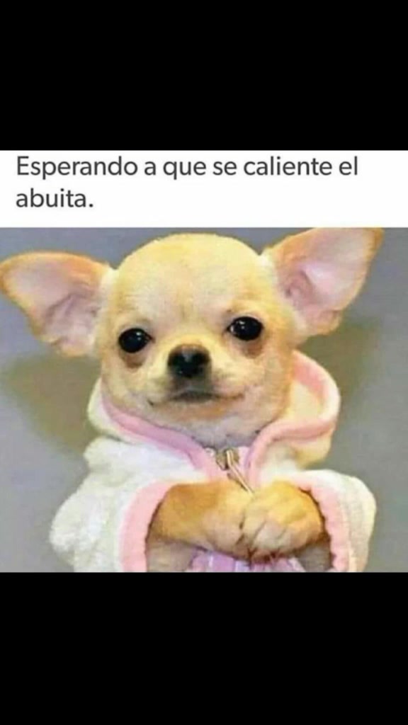 @memesxd