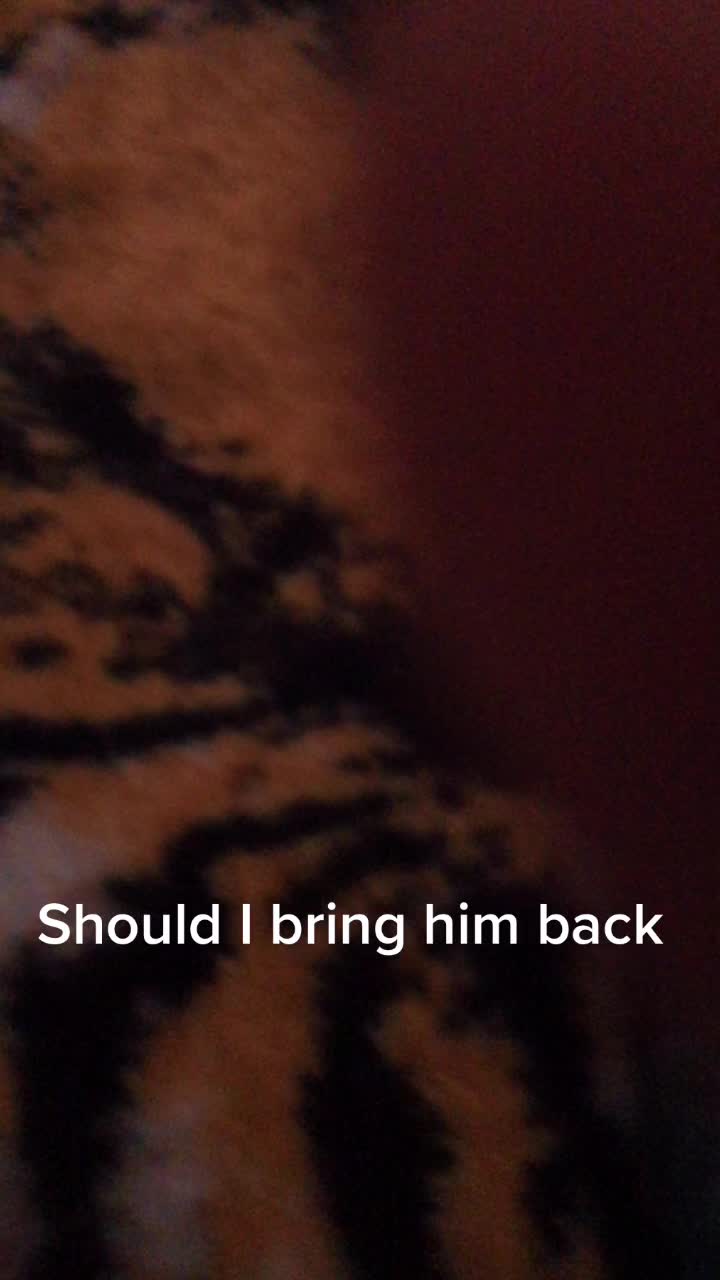 @plushgamingchannel