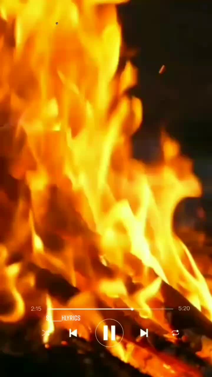 @s_________h(lyrics)