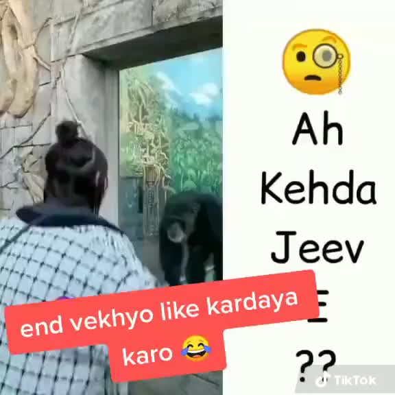 @Nav mehra