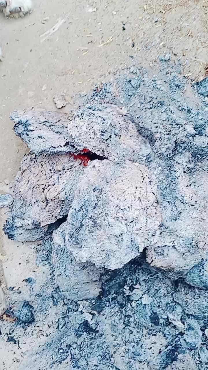 @jai ho baba ki