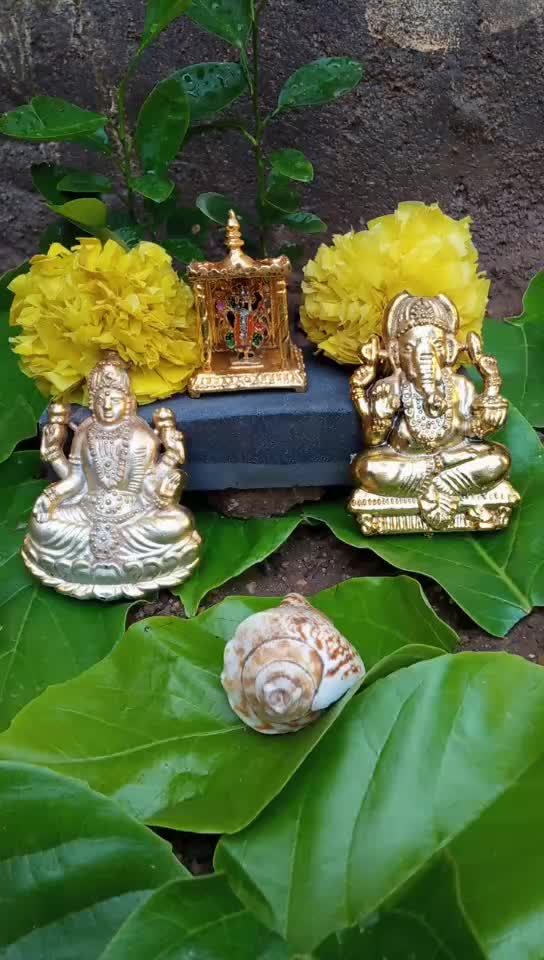 @kishan thakor 5544