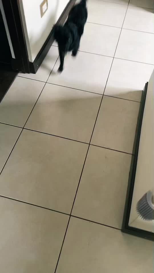 @aj.m.nz