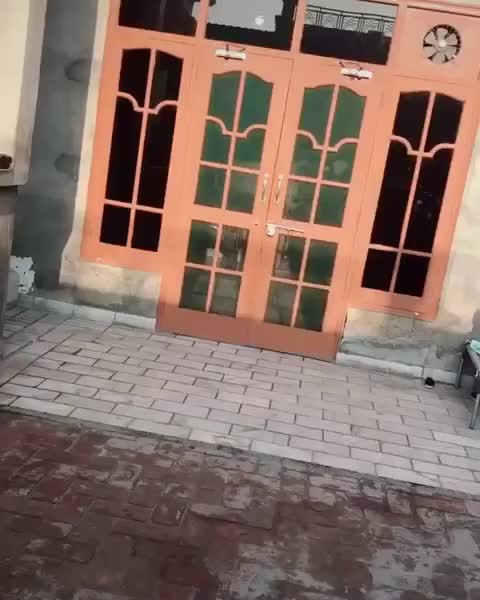 @Maan 🦅