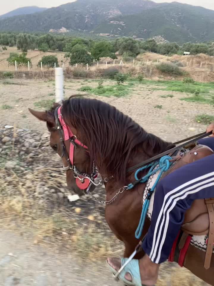 @Nazillirahvan09