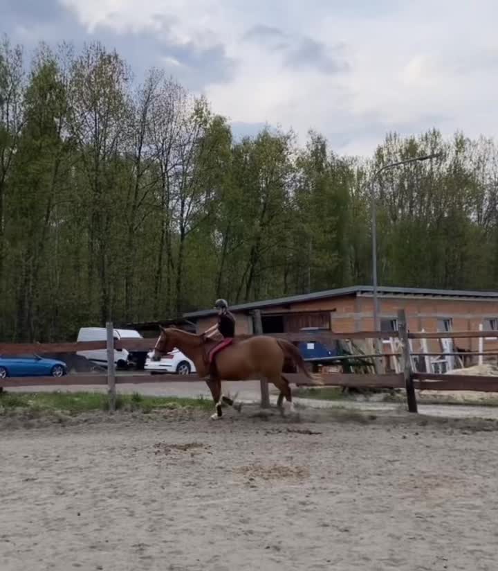 @W🦄