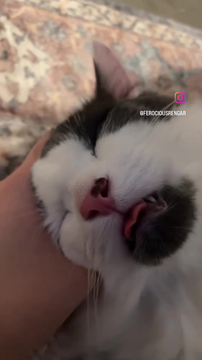 @FerociousRengar
