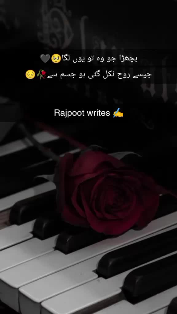 @Falak Rajpoot🖤