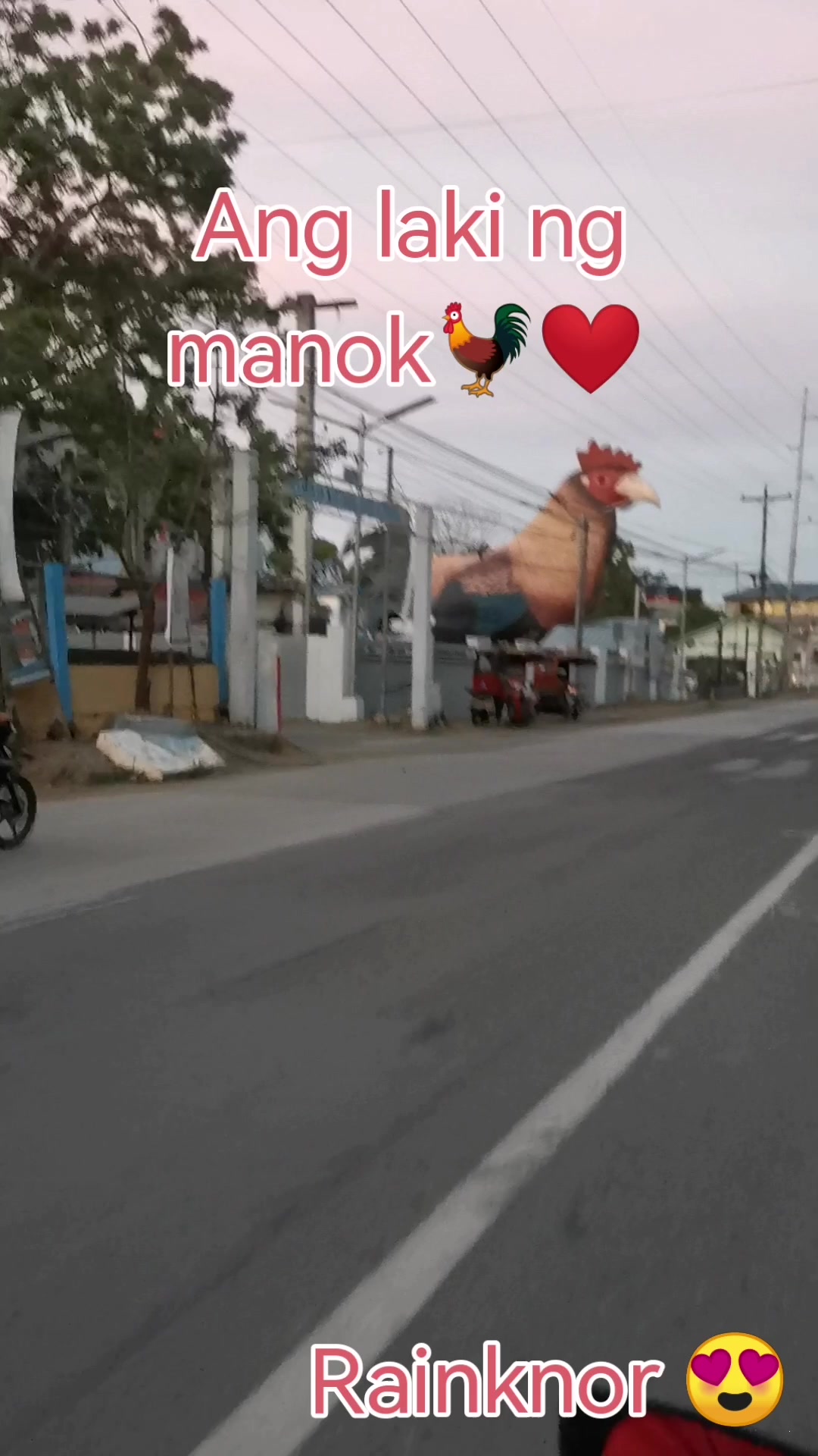 @๐บ Rain knor ๐บ