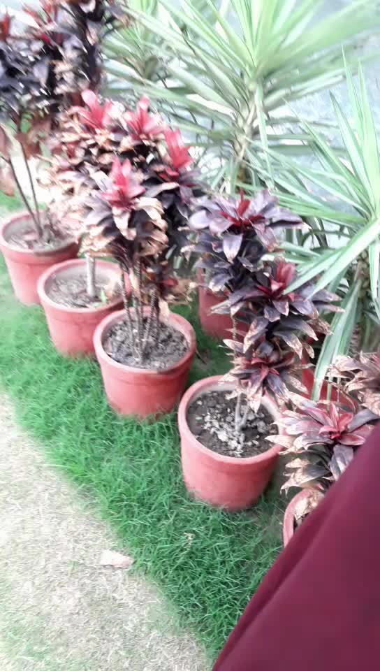 @🕉 Sumant Bhatia  🕉