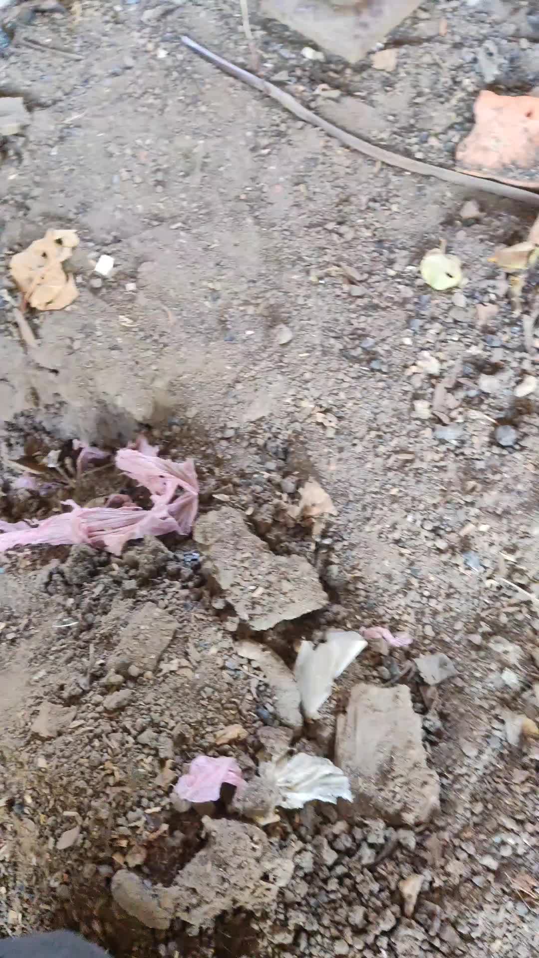 @Саня🇺🇦🇺🇦🇺🇦