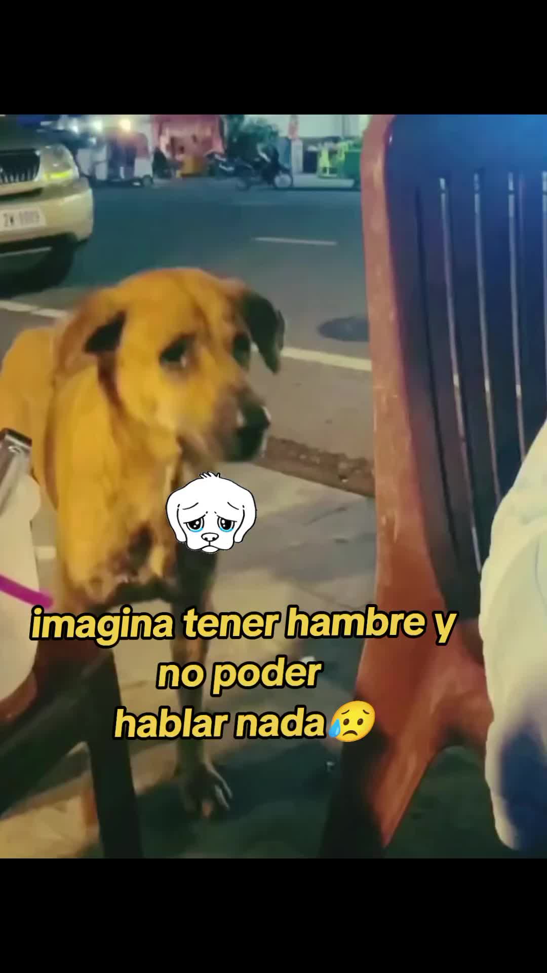 @ D 🙇🏻