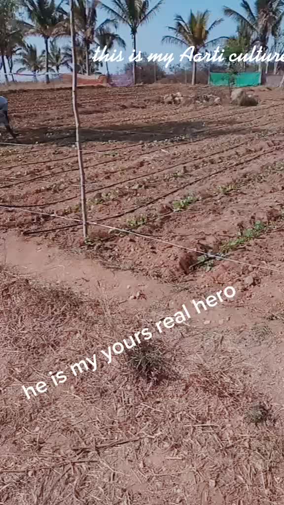 @Sushma Vinod
