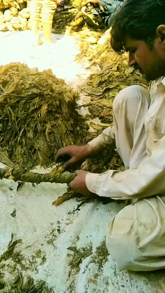 @Bilal shahiwal walia1