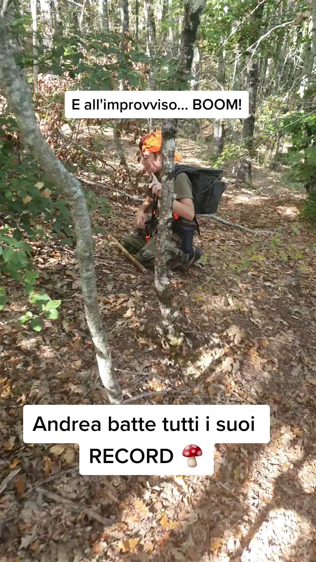 @Tonia Romano