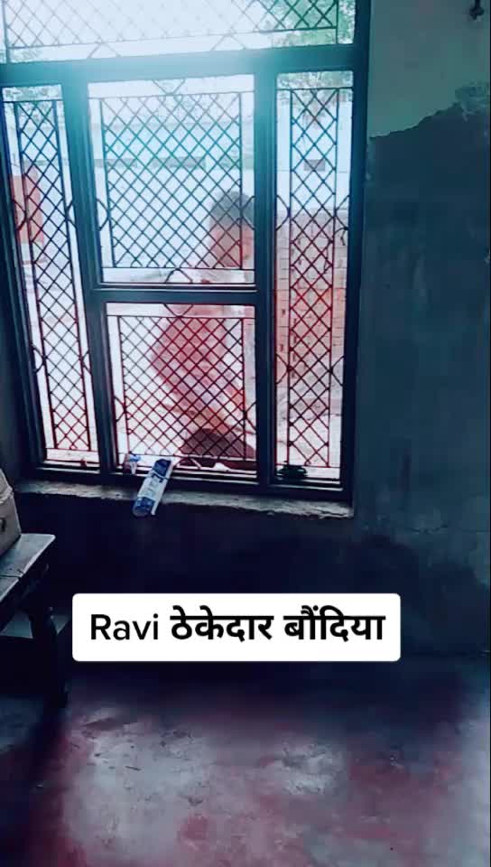@Rpparmar25