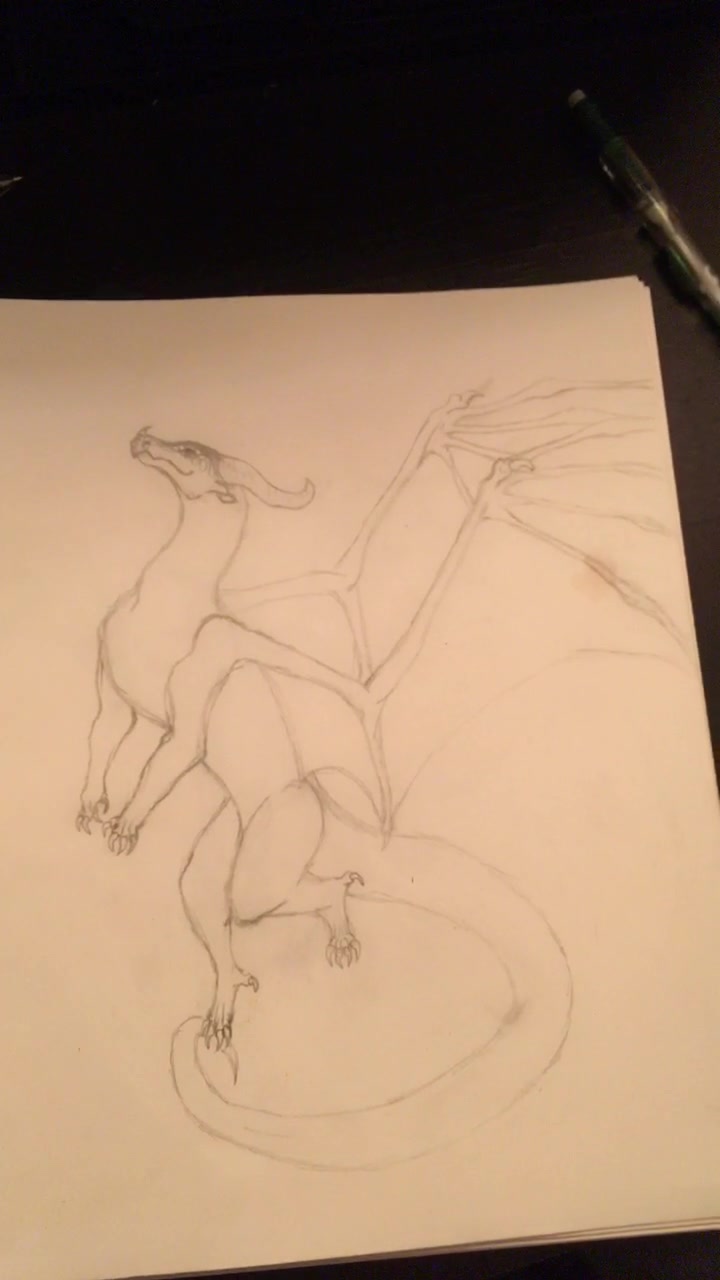 @💙Dragonart💙