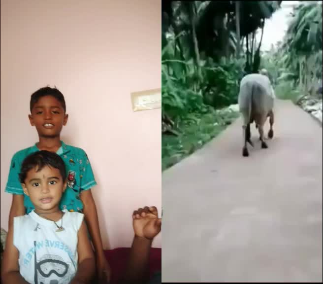 @Prakash T N231