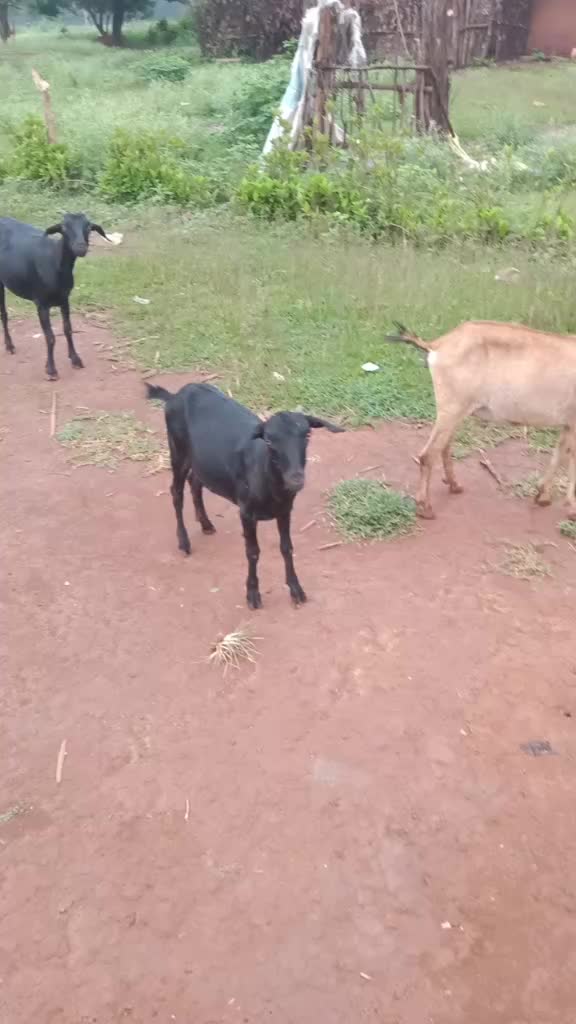 @ମହେନ୍ଦ୍ର